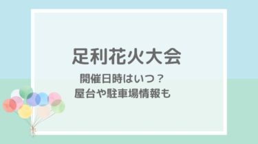 足利花火大会2022の屋台や穴場の見える場所は？駐車場・混雑状況も