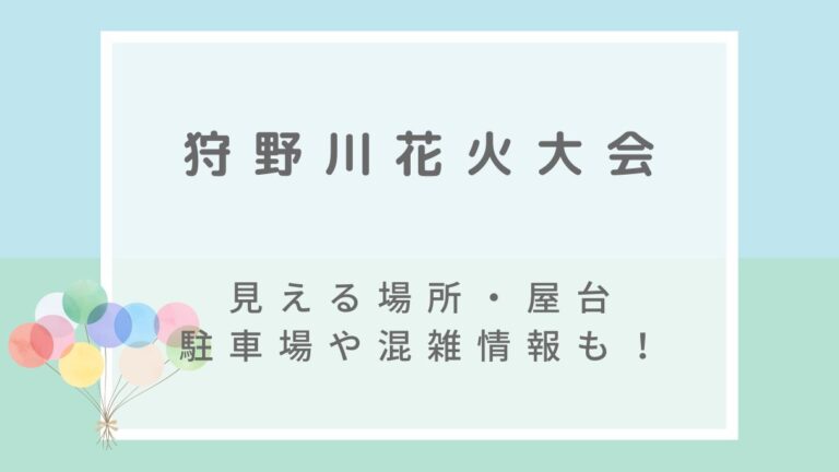 狩野川花火大会2022の屋台や穴場のみえる場所は？駐車場・混雑状況も