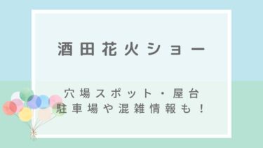 酒田花火ショー2022の穴場や見える場所は？屋台と駐車場も！