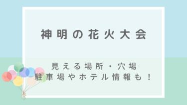 神明の花火大会2022の屋台や穴場の見える場所は？駐車場・混雑状況も！