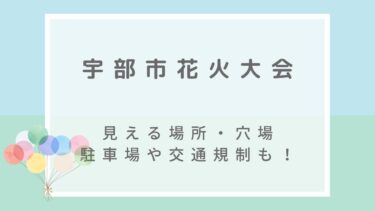 宇部市花火大会2022の屋台や見える場所・穴場は？駐車場と交通規制も！