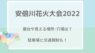 安倍川花火大会2022の屋台や穴場・見える場所は？駐車場と交通規制も！