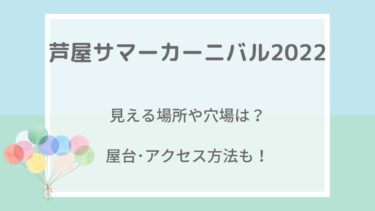 芦屋サマーカーニバル2022の見える場所や穴場は？屋台・アクセス方法も！