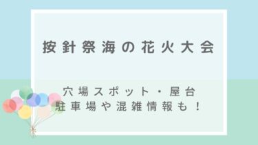 按針祭海の花火大会2022の穴場や見える場所は？屋台と駐車場・混雑状況も！