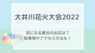 大井川花火大会2022の屋台や見える場所・穴場は？駐車場・混雑状況も