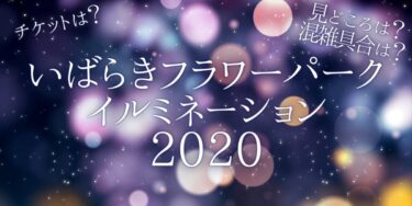 いばらきフラワーパークイルミネーション2022いつから開催？チケットの購入方法は？開催期間や点灯時間、口コミ・混雑状況を紹介