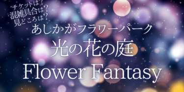 あしかがフラワーパーク 光の花の庭Flower Fantasy2022いつから開催？チケットの購入方法は？開催期間や点灯時間、口コミ・混雑状況を紹介