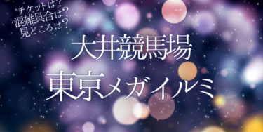 東京メガイルミ2022いつから開催？チケットの購入方法は？開催期間や点灯時間、口コミ・混雑状況を紹介