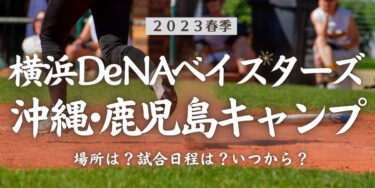 2023年春季横浜DeNAベイスターズ沖縄・鹿児島キャンプ場所はどこ？試合日程は？いつから？