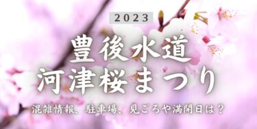 2023年豊後水道河津桜まつりはいつから？混雑具合、駐車場、見ごろや満開日、口コミ、津久見駅からのアクセスをチェック