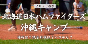 2023年春季北海道日本ハムファイターズ沖縄キャンプ場所はどこ？試合日程は？いつから？