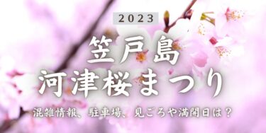 2023年笠戸島河津桜まつりはいつから？混雑具合、駐車場、見ごろや満開日、口コミ、下松駅からのアクセスをチェック