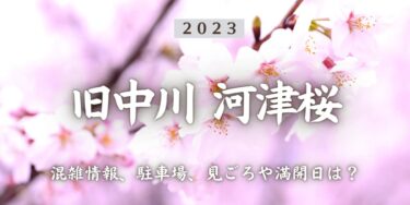 2023年旧中川河津桜はいつから？混雑具合、駐車場、見ごろや満開日、口コミ、平井駅からのアクセスをチェック