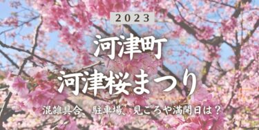 2023年河津町の河津桜まつりはいつから？混雑具合、駐車場、見ごろや満開日、口コミ、河津駅からのアクセスをチェック