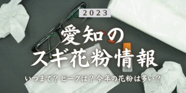 2023年愛知県のスギ花粉はいつまで？ピークは？今年の花粉は多い？今年のスギ山の状況は？今日の花粉症ひどい？リアルタイム情報