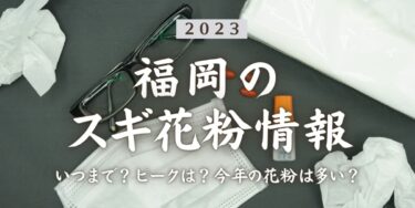 2023年福岡県のスギ花粉はいつまで？ピークは？今年の花粉は多い？今年のスギ山の状況は？今日の花粉症ひどい？リアルタイム情報