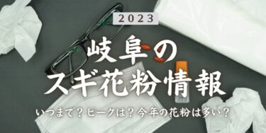 2023年岐阜県のスギ花粉はいつまで？ピークは？今年の花粉は多い？今年のスギ山の状況は？今日の花粉症ひどい？リアルタイム情報