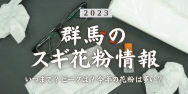 2023年群馬県のスギ花粉はいつまで？ピークは？今年の花粉は多い？今年のスギ山の状況は？今日の花粉症ひどい？リアルタイム情報