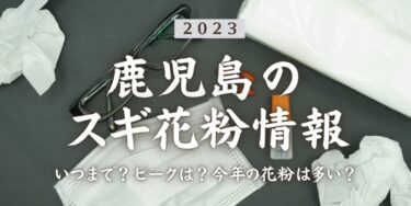 2023年鹿児島県のスギ花粉はいつまで？ピークは？今年の花粉は多い？今年のスギ山の状況は？今日の花粉症ひどい？リアルタイム情報