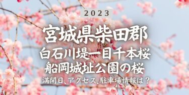 2023年白石川堤一目千本桜／船岡城址公園の桜の見頃はいつ？満開時期、屋台、花見イベント情報、船岡駅からのアクセス方法をチェック