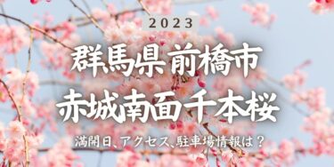 2023年赤城南面千本桜の桜の見頃はいつ？満開時期、屋台、花見イベント情報、大胡駅からのアクセス方法をチェック
