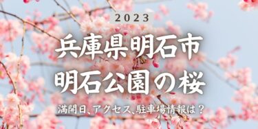 2023年明石公園(兵庫県)の桜の見頃はいつ？満開時期、屋台、花見イベント情報、明石駅からのアクセス方法をチェック