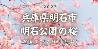 2023年明石公園(兵庫県)の桜の見頃はいつ？満開時期、屋台、花見イベント情報、明石駅からのアクセス方法をチェック