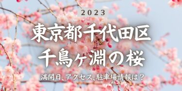 2023年千鳥ヶ淵の桜の見頃はいつ？満開時期、屋台、花見イベント情報、九段下駅からのアクセス方法をチェック