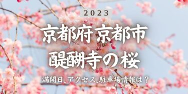 2023年醍醐寺の桜の見頃はいつ？満開時期、屋台、花見イベント情報、醍醐駅からのアクセス方法をチェック