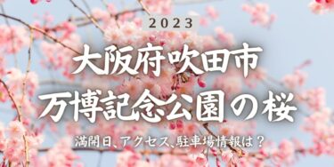 2023年万博記念公園の桜の見頃はいつ？満開時期、屋台、花見イベント情報、万博記念公園駅からのアクセス方法をチェック