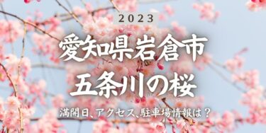 2023年五条川の桜の見頃はいつ？満開時期、屋台、花見イベント情報、岩倉駅からのアクセス方法をチェック