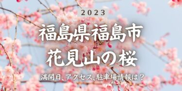 2023年花見山の桜の見頃はいつ？満開時期、屋台、花見イベント情報、福島駅からのアクセス方法をチェック