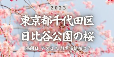 2023年日比谷公園の桜の見頃はいつ？満開時期、屋台、花見イベント情報、日比谷駅からのアクセス方法をチェック