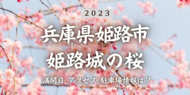 2023年姫路城の桜の見頃はいつ？満開時期、屋台、花見イベント情報、姫路駅からのアクセス方法をチェック