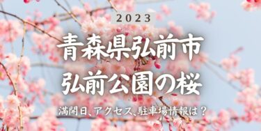 2023年弘前公園の桜の見頃はいつ？満開時期、屋台、花見イベント情報、弘前駅からのアクセス方法をチェック