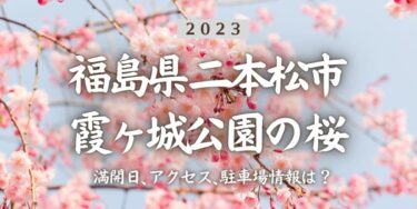 2023年霞ヶ城公園（二本松城跡）の桜の見頃はいつ？満開時期、屋台、花見イベント情報、二本松駅からのアクセス方法をチェック
