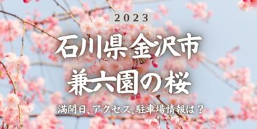 2023年兼六園の桜の見頃はいつ？満開時期、屋台、花見イベント情報、金沢駅からのアクセス方法をチェック