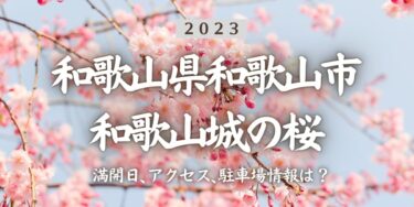 2023年和歌山城の桜の見頃はいつ？満開時期、屋台、花見イベント情報、和歌山駅からのアクセス方法をチェック