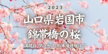 2023年錦帯橋・吉香公園の桜の見頃はいつ？満開時期、屋台、花見イベント情報、川西駅からのアクセス方法をチェック