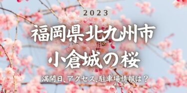 2023年小倉城の桜の見頃はいつ？満開時期、屋台、花見イベント情報、西小倉駅からのアクセス方法をチェック