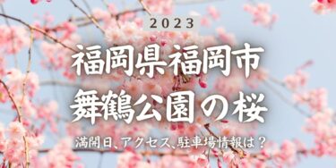 2023年舞鶴公園の桜の見頃はいつ？満開時期、屋台、花見イベント情報、大壕公園駅からのアクセス方法をチェック