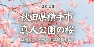 2023年真人公園の桜の見頃はいつ？満開時期、屋台、花見イベント情報、十文字駅からのアクセス方法をチェック