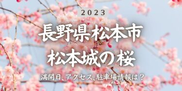 2023年松本城の桜の見頃はいつ？満開時期、屋台、花見イベント情報、松本駅からのアクセス方法をチェック