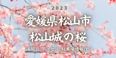 2023年松山城(城山公園)の桜の見頃はいつ？満開時期、屋台、花見イベント情報、松山駅からのアクセス方法をチェック
