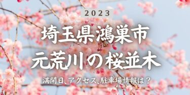 2023年元荒川の桜並木の桜の見頃はいつ？満開時期、屋台、花見イベント情報、九段下駅からのアクセス方法をチェック