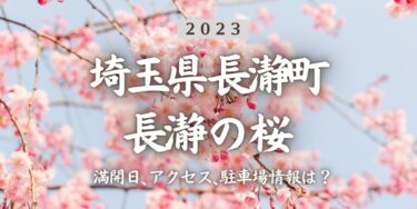 2023年長瀞の桜の見頃はいつ？満開時期、屋台、花見イベント情報、長瀞駅からのアクセス方法をチェック