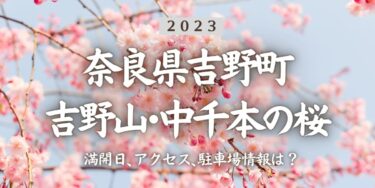 2023年吉野山･中千本の桜の見頃はいつ？満開時期、屋台、花見イベント情報、吉野駅からのアクセス方法をチェック