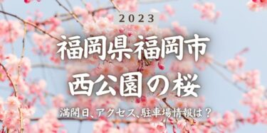 2023年西公園(福岡県)の桜の見頃はいつ？満開時期、屋台、花見イベント情報、大濠公園駅からのアクセス方法をチェック