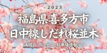 2023年日中線しだれ桜並木の桜の見頃はいつ？満開時期、屋台、花見イベント情報、喜多方駅からのアクセス方法をチェック