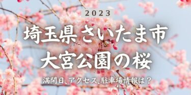 2023年大宮公園の桜の見頃はいつ？満開時期、屋台、花見イベント情報、大宮公園駅からのアクセス方法をチェック